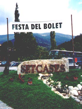 Benvinguts a la Festa del Bolet